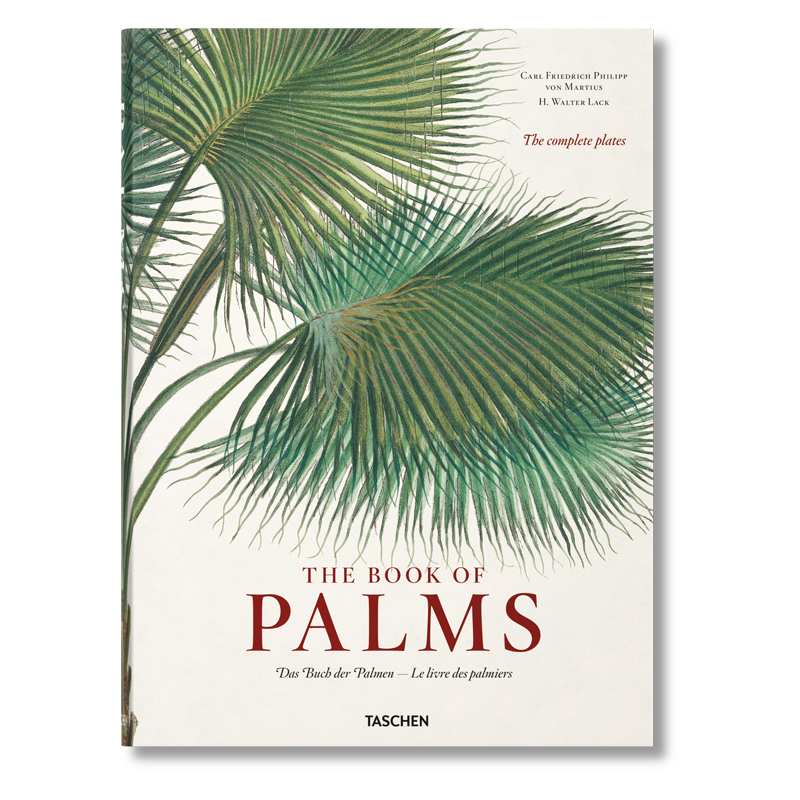 Книга The Book of Palms  в Воронеже | Loft Concept 