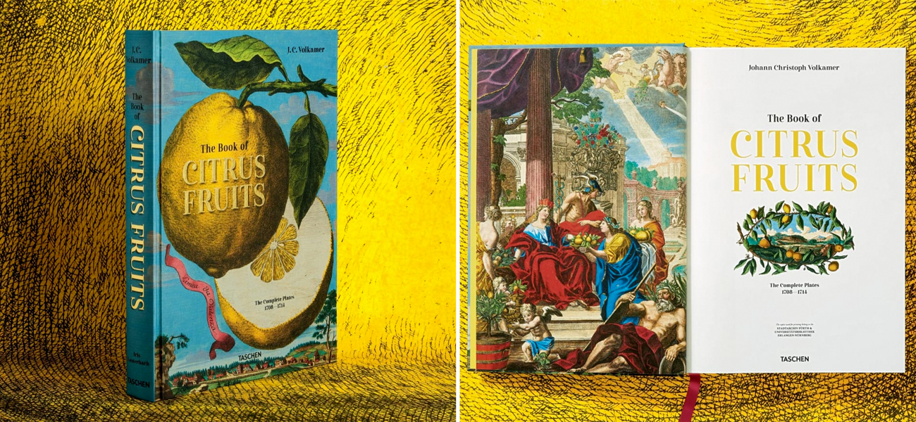 Volkamer Citrus Fruits - фото