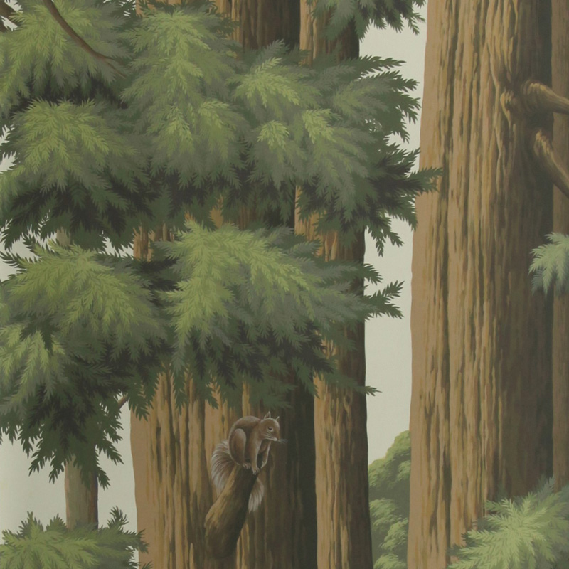 Обои ручная роспись Redwoods Colourway SC-281 on scenic paper Обои ручная роспись Redwoods Colourway SC-281 on scenic paper в Воронеже | Loft Concept