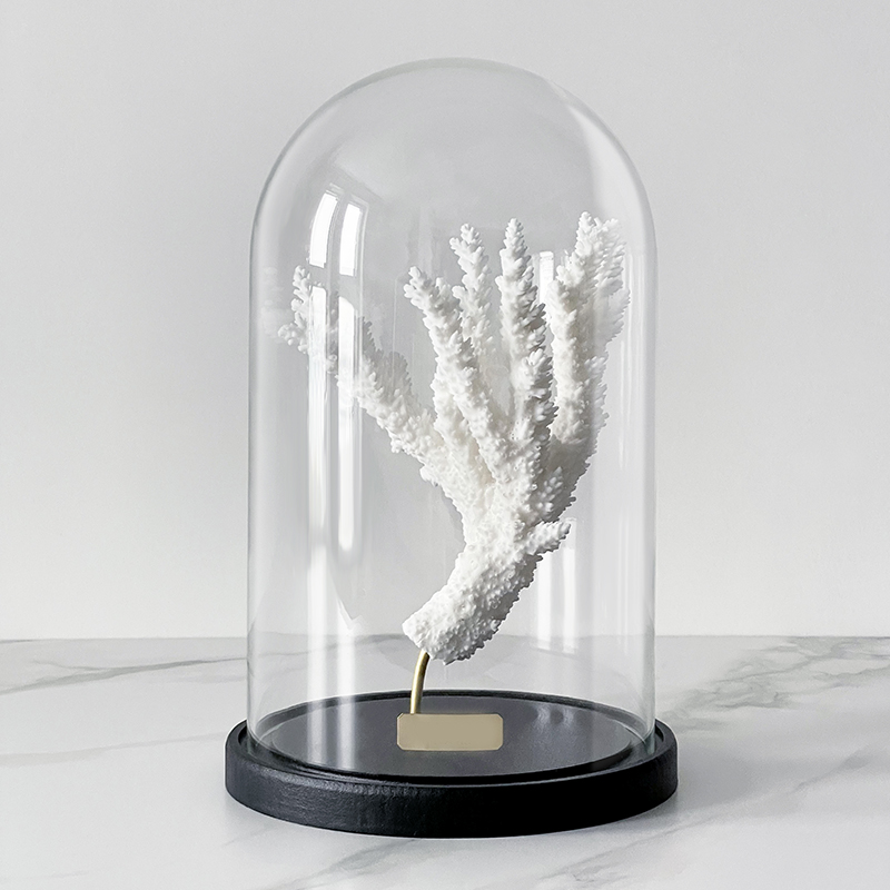 Статуэтка Natural Coral Branch Glass Cloche  в Воронеже | Loft Concept 