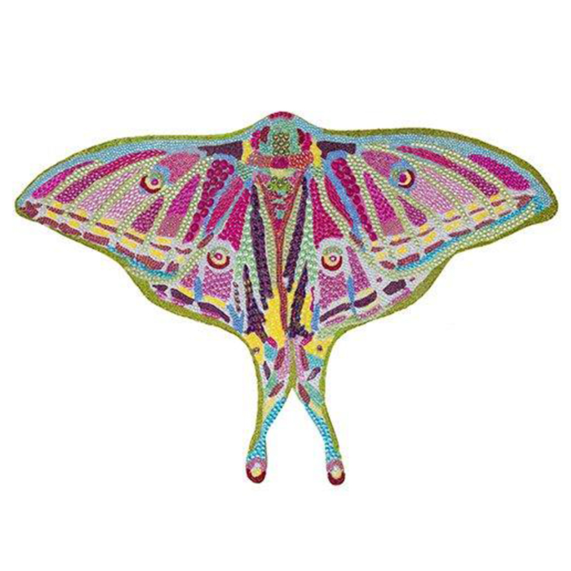 Картина “Spanish Moon Moth Butterfly Cut Out” Мульти в Воронеже | Loft Concept 