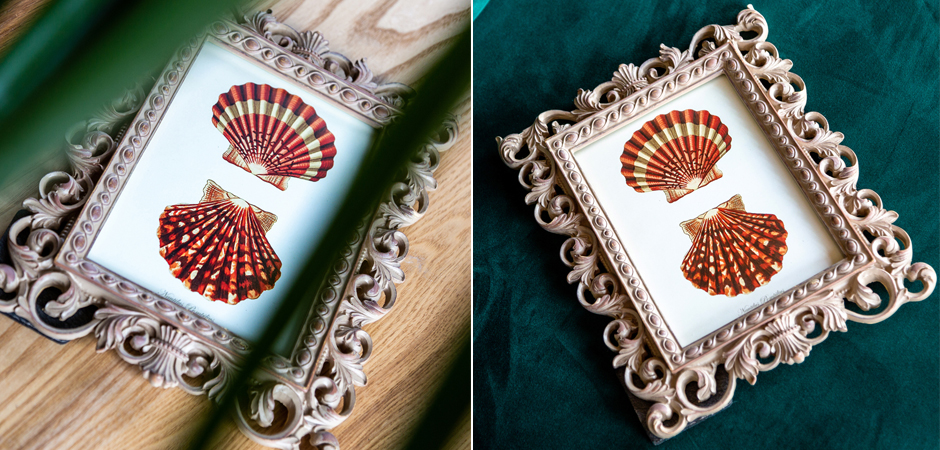 Постер Red Scallop Poster - Loft-Concept в Воронеже