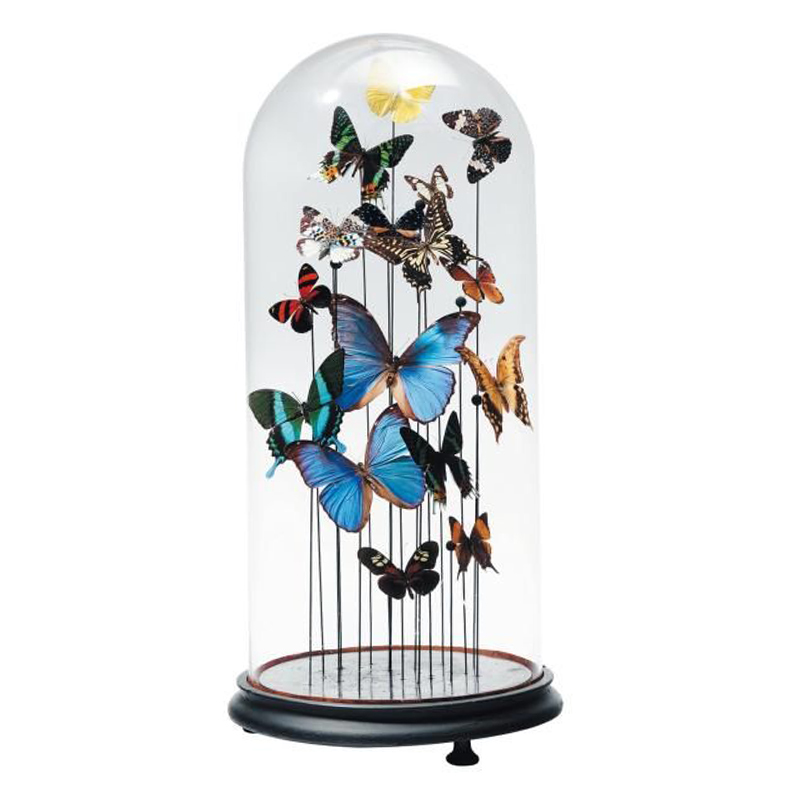 Статуэтка 15 Butterflies Glass Cloche Статуэтка 15 Butterflies Glass Cloche в Воронеже | Loft Concept