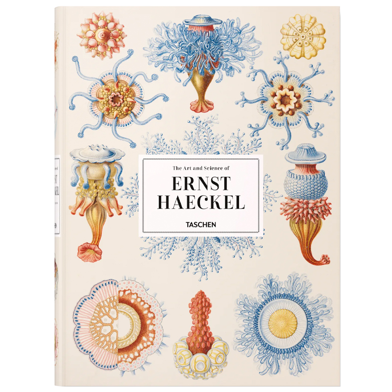 The Art and Science of Ernst Haeckel XXL  в Воронеже | Loft Concept 