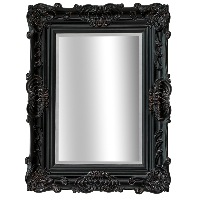 Зеркало Aryan Provence Mirror Black Черный Коричневый в Воронеже | Loft Concept 