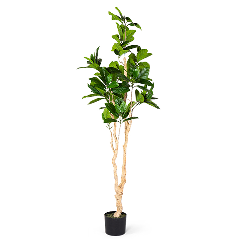 Декоративный искусственный цветок Decorative Tree h187 Зеленый в Воронеже | Loft Concept 