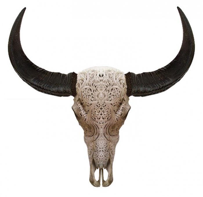 Череп буйвола с резьбой Buffalo Skull Tribal Carving Белый в Воронеже | Loft Concept 