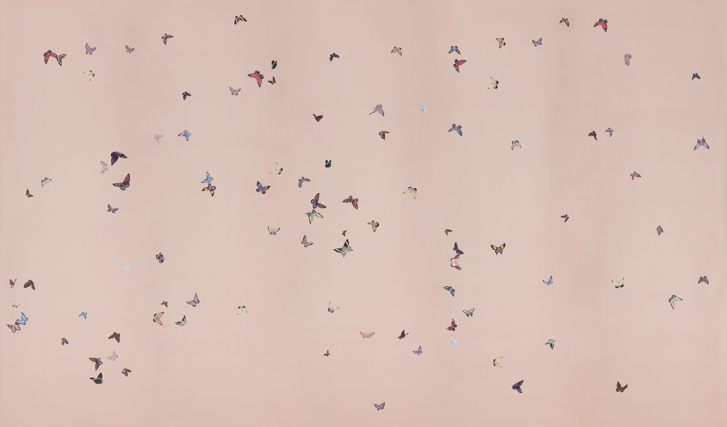 Обои ручная роспись Butterflies Icarus on Gentleman's Pink dyed silk Обои ручная роспись Butterflies Icarus on Gentleman's Pink dyed silk - постер Loft-Concept в Воронеже