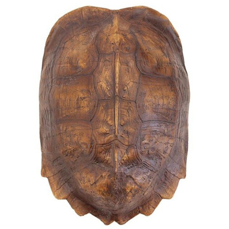 Аксессуар Turtle Shell Natural Light Brown Коричневый в Воронеже | Loft Concept 