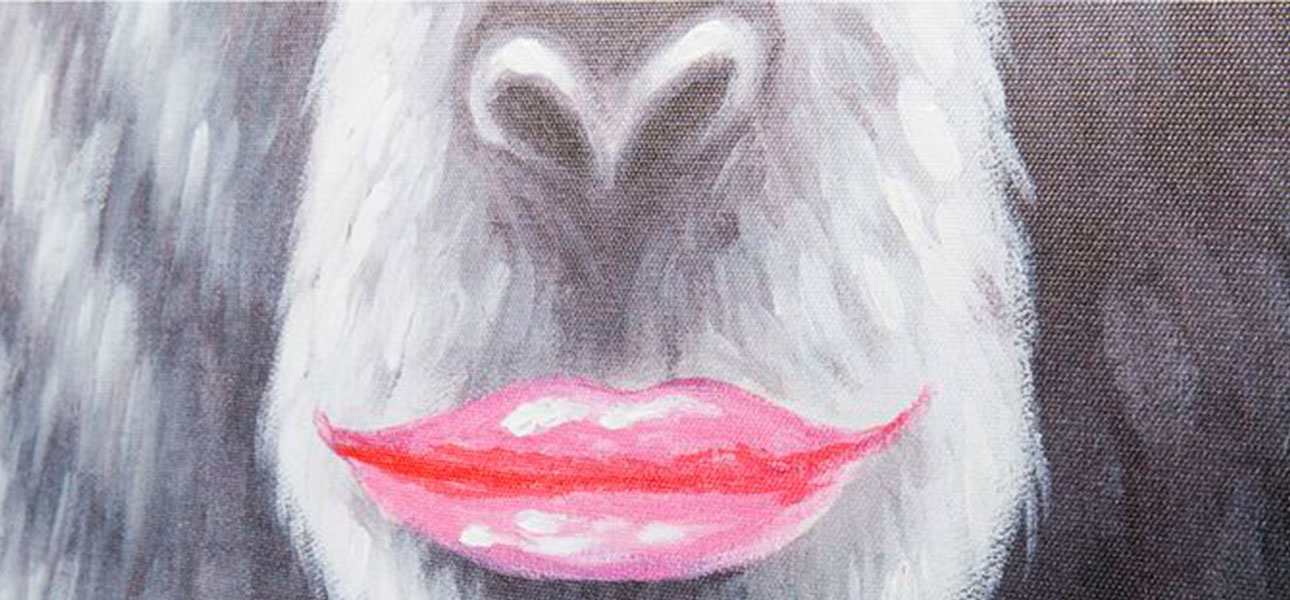 Постер The Masked Monkey - фото №1