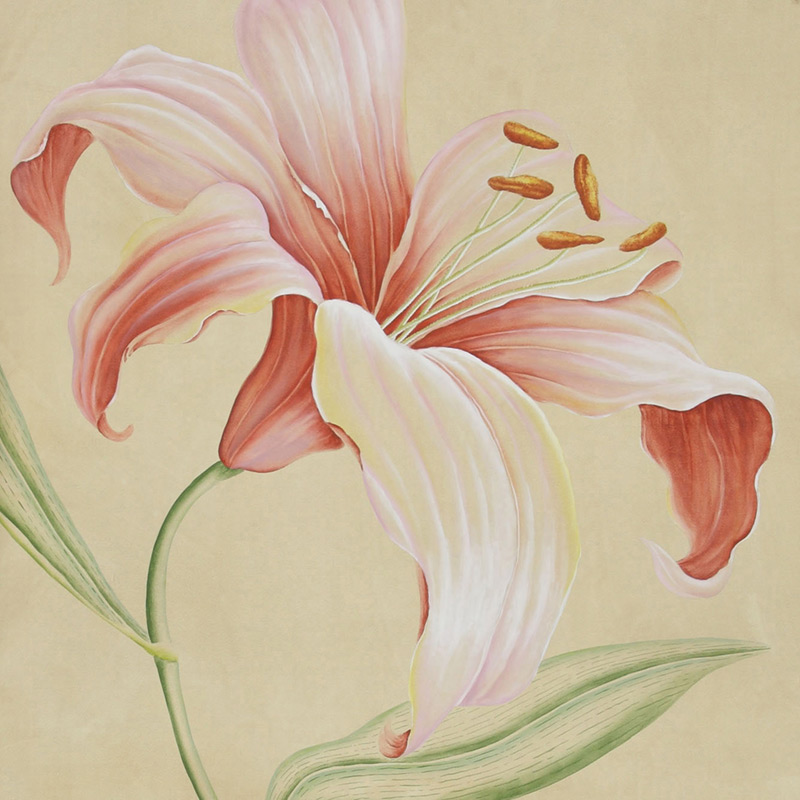 Обои ручная роспись Lilium Special Colourway on yellow painted silk Обои ручная роспись Lilium Special Colourway on yellow painted silk в Воронеже | Loft Concept