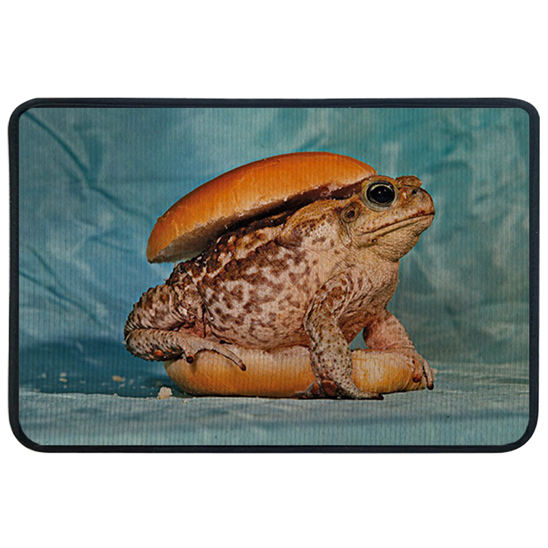 Ковер для прихожей и ванной Seletti Toad Rug Мульти Голубой в Воронеже | Loft Concept 