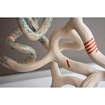 Скульптура «Papañca» варинант исполнения - 3 | Loft Concept в Воронеже