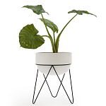 Кашпо Elevated Planters Luna 54 белое варинант исполнения - 2 | Loft Concept в Воронеже