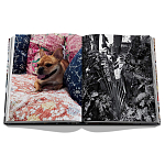 Книга подарочная Смелый бразильский стиль Сиг Бергамина Assouline Maximalism by Sig Bergamin варинант исполнения - 9 | Loft Concept в Воронеже