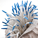 Статуэтка тропический фрукт Tropical Fruit White Blue варинант исполнения - 1 | Loft Concept в Воронеже