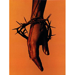 Подарочная книга величайший фотограф Альберт Уотсон The Vienna album Albert Watson варинант исполнения - 4 | Loft Concept в Воронеже