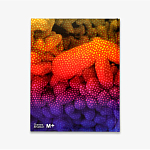 Редкое подарочное издание Yayoi Kusama: 1945 to Now варинант исполнения - 3 | Loft Concept в Воронеже