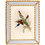 Постер с изображением птиц и цветов в зеркальной раме Blooming Birds Poster варинант исполнения - 4 | Loft Concept в Воронеже