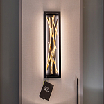 Бра в прямоугольной черной рамке с декором в виде ветвей в золотой отделке Hinkley варинант исполнения - 7 | Loft Concept в Воронеже