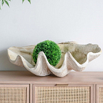 Блюдо декоративное в виде ракушки Seashell варинант исполнения - 3 | Loft Concept в Воронеже