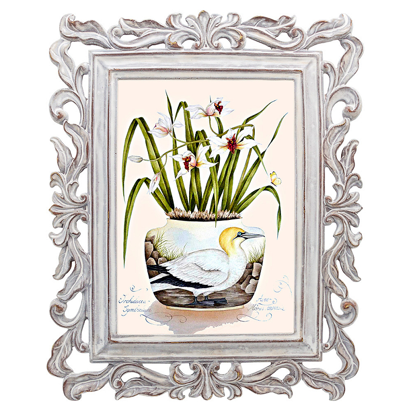 Постер White Duck Poster Мульти Белый винтажная патина   в Воронеже | Loft Concept 