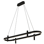 Люстра подвесная овальная черная  Black Light Fixtures варинант исполнения - 1 | Loft Concept в Воронеже