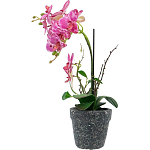 Декоративный искусственное растение Pink orchid варинант исполнения - 4 | Loft Concept в Воронеже