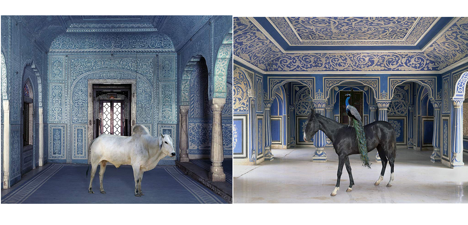 Книга KAREN KNORR INDIA SONG Книга KAREN KNORR INDIA SONG - Loft-Concept в Воронеже
