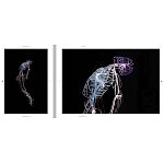 Монография художника Tavares Strachan - There is Light Somewhere варинант исполнения - 6 | Loft Concept в Воронеже