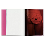 Книга Gisele Bundchen варинант исполнения - 7 | Loft Concept в Воронеже