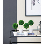 Декоративный искусственное растение Boxwood One варинант исполнения - 4 | Loft Concept в Воронеже
