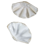 Фигурка из фарфора в виде одной створки ракушки Marine Tridacna варинант исполнения - 3 | Loft Concept в Воронеже