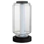 Настольная лампа с прозрачным плафоном Jarrty варинант исполнения - 1 | Loft Concept в Воронеже