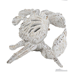 Статуэтка краб с детализированной текстурой в белом цвете Marine Accessories варинант исполнения - 4 | Loft Concept в Воронеже