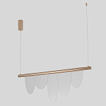 Люстра подвесная с пятью прозрачными элементами в форме лепестков и золотистым металлическим основанием DALI Tonin Casa варинант исполнения - 2 | Loft Concept в Воронеже