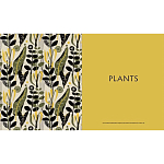 Книга The V&A Sourcebook of Pattern and Ornament варинант исполнения - 4 | Loft Concept в Воронеже