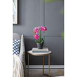 Декоративный искусственное растение Pink orchid варинант исполнения - 8 | Loft Concept в Воронеже