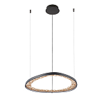 Люстра светодиодная  Iris варинант исполнения - 2 | Loft Concept в Воронеже