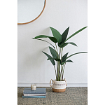 Декоративный искусственное растение Decor Stile  варинант исполнения - 7 | Loft Concept в Воронеже