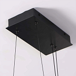 Люстра в виде распахнутых крыльев из тонких металлических планок Flight of Freedom варинант исполнения - 14 | Loft Concept в Воронеже