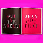 Коллекционный альбом Schiaparelli and the Artists варинант исполнения - 12 | Loft Concept в Воронеже