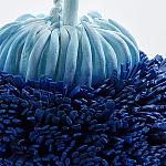 Статуэтка Синий тропический фрукт Tropical Fruit Pandora 1 варинант исполнения - 4 | Loft Concept в Воронеже