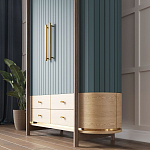 Шкаф «Гавайи» варинант исполнения - 2 | Loft Concept в Воронеже