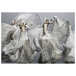 Alexander McQueen: Savage Beauty варинант исполнения - 2 | Loft Concept в Воронеже