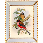 Постер с изображением птиц и цветов в зеркальной раме Blooming Birds Poster варинант исполнения - 7 | Loft Concept в Воронеже