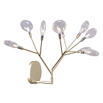 Бра в виде ветвей с прозрачными круглыми плафонами Moooi варинант исполнения - 1 | Loft Concept в Воронеже