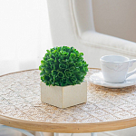 Декоративный искусственное растение Square boxwood варинант исполнения - 6 | Loft Concept в Воронеже