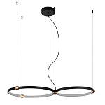 Люстра подвесная светодиодная черный металл Ring Horizontal варинант исполнения - 9 | Loft Concept в Воронеже