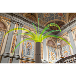 Дизайнерский торшер в виде пальмы Poltronova Sanremo Floor Lamp варинант исполнения - 9 | Loft Concept в Воронеже